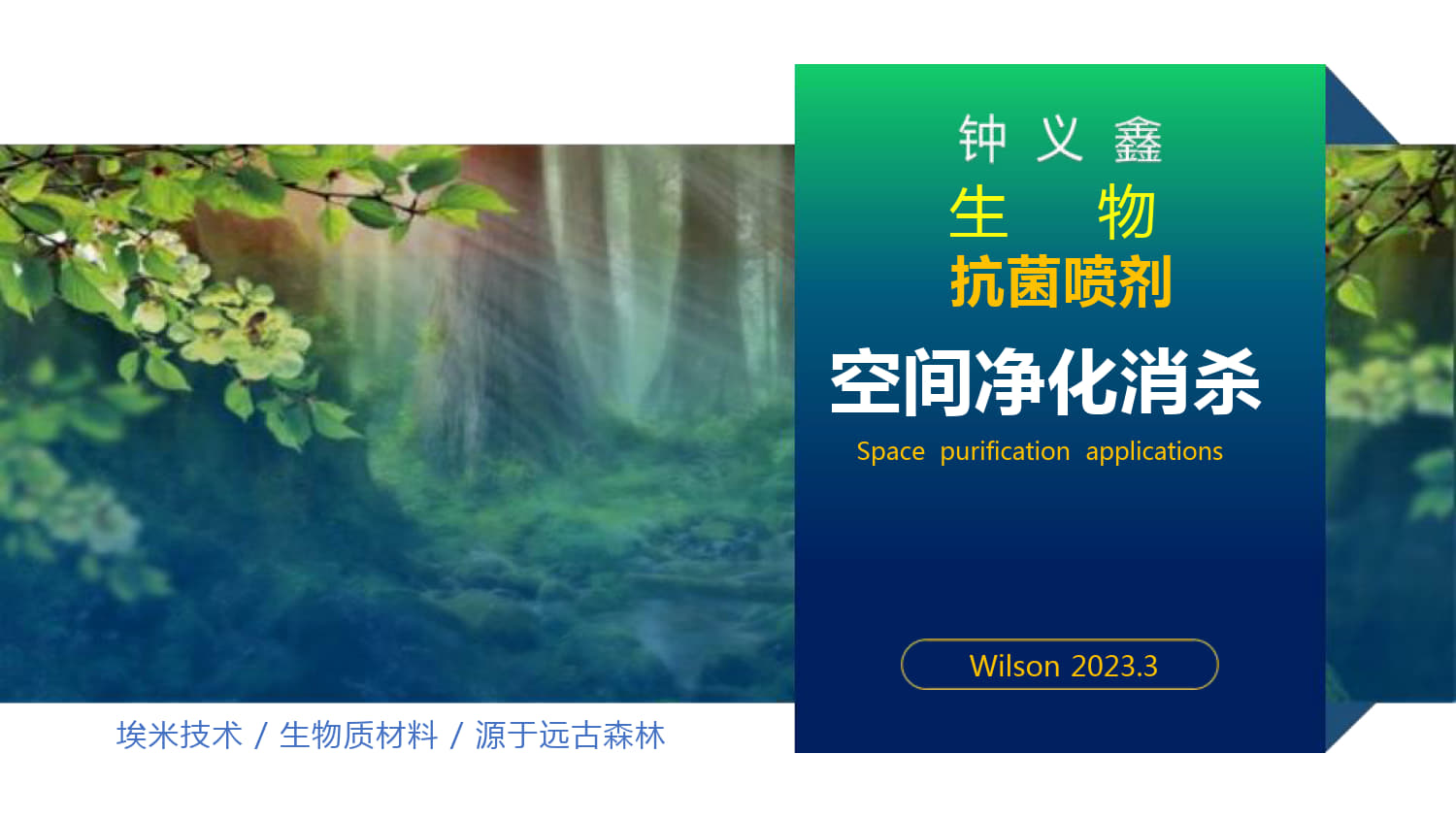 生物质抗菌剂