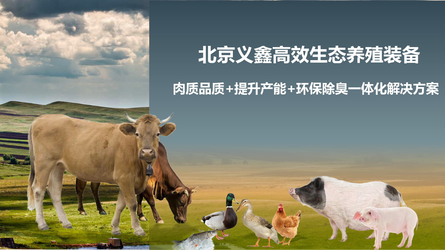 义鑫高效生态养殖装备