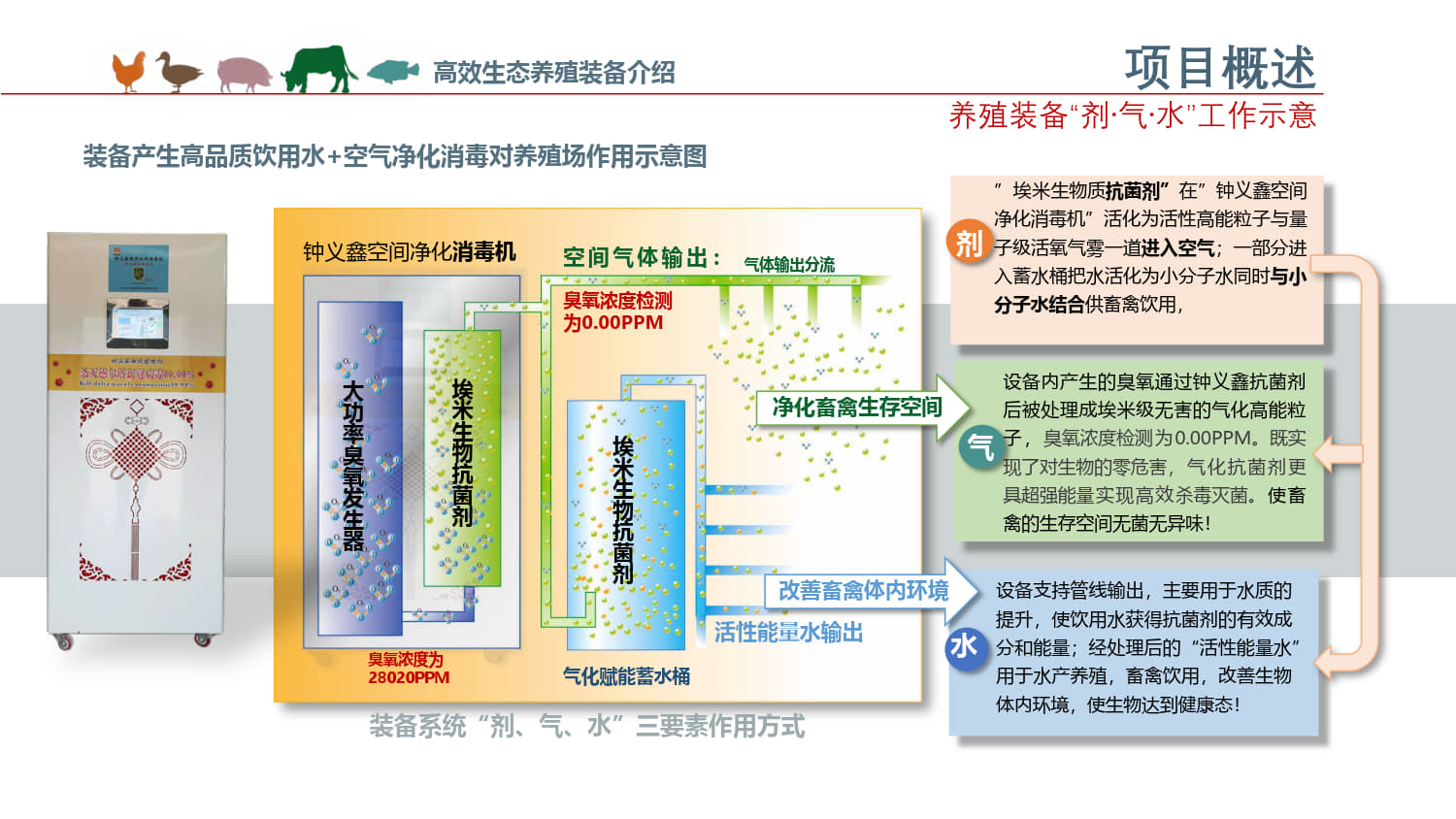 10提高水产养殖产量的措施.jpg
