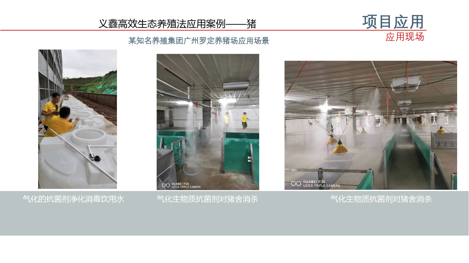 30消杀甲流病毒用什么消毒剂